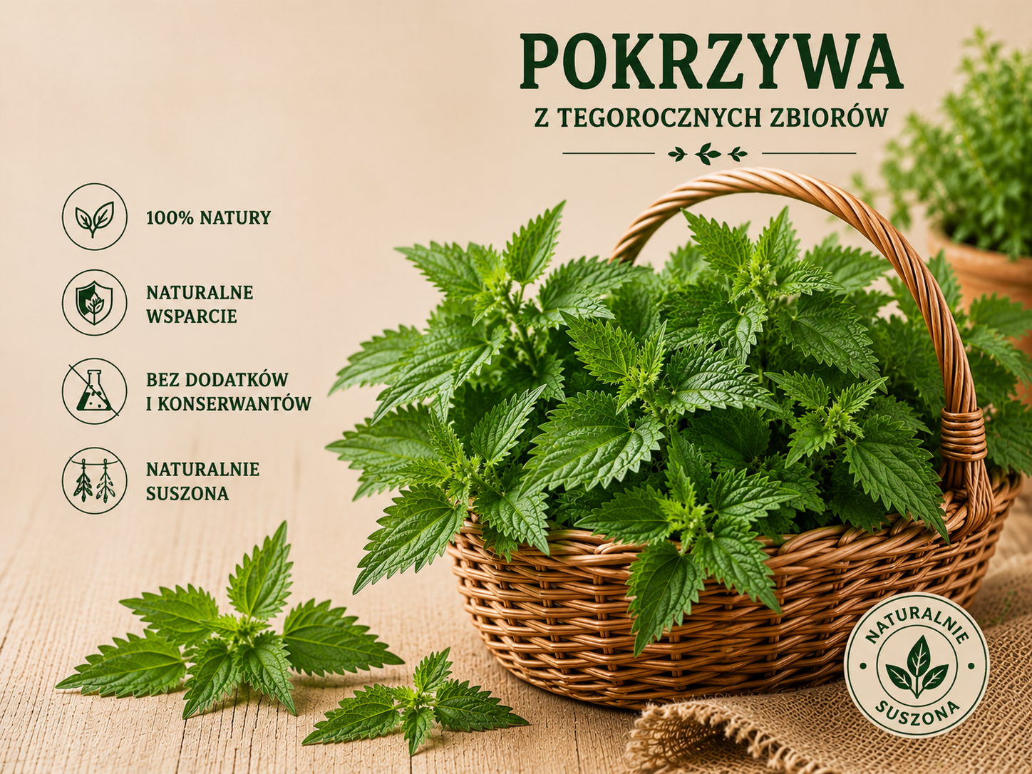 wizualizacja poglądowa SI