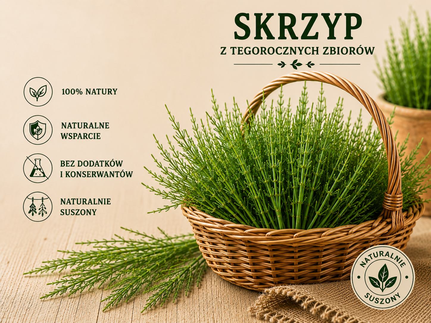 wizualizacja poglądowa SI